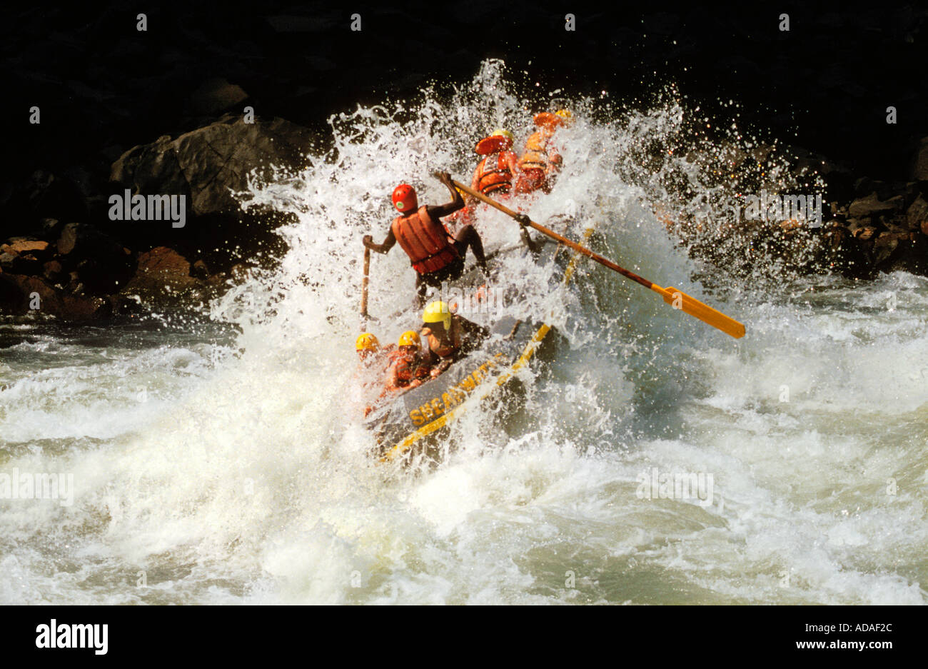 Whitewater rafting Zambezi Zimbabwe Stock Photo Alamy