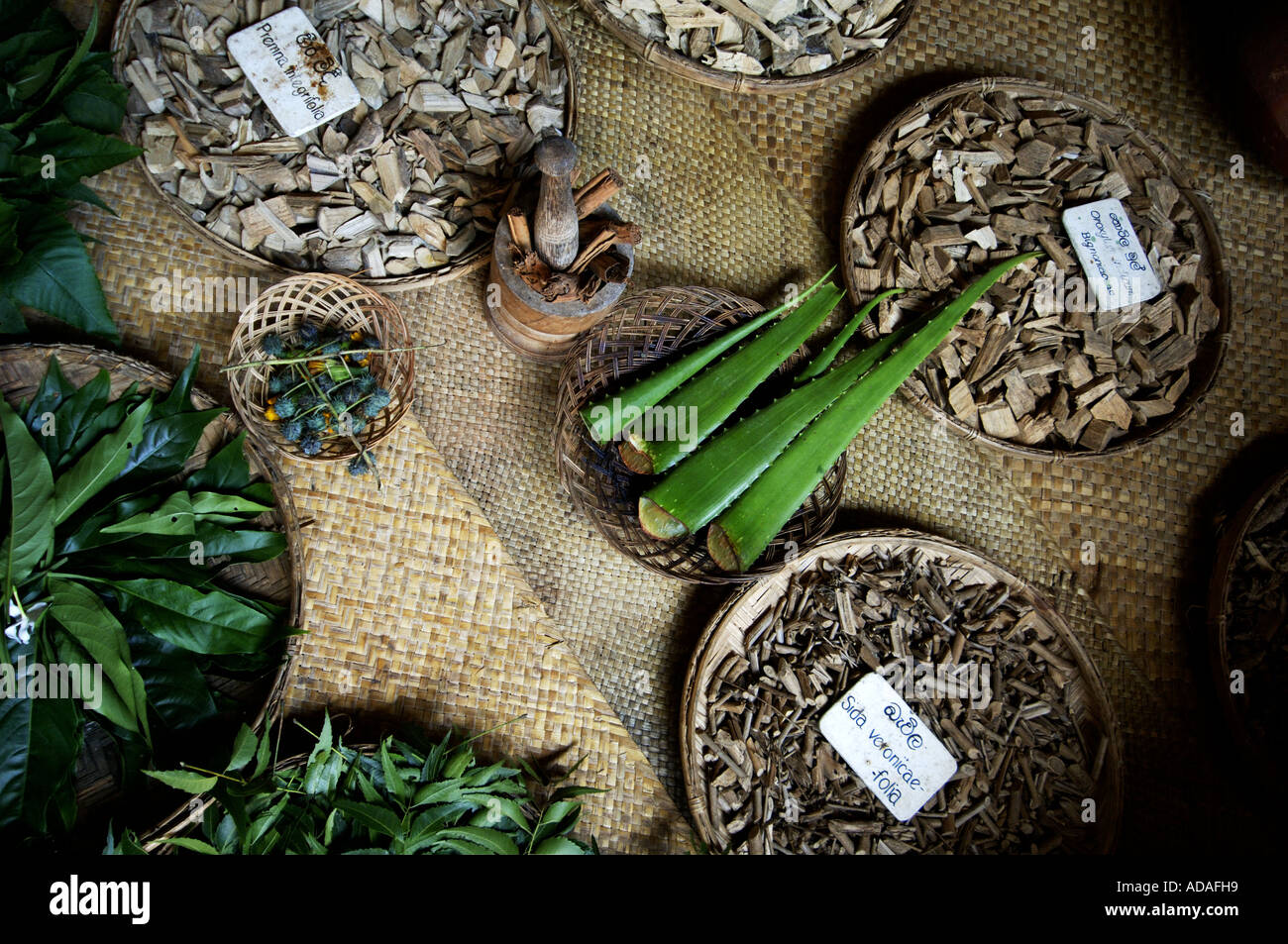 Ayurveda health centre Stock Photo Alamy