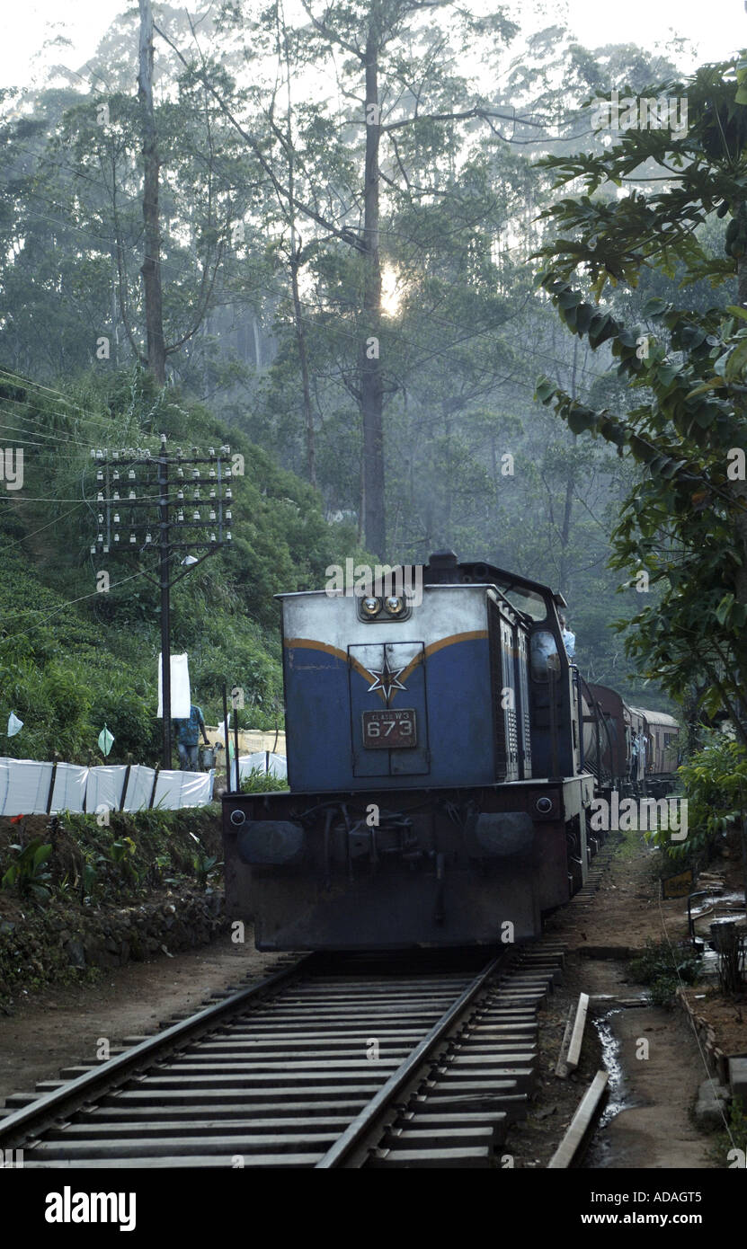 Nuwara Eliya hill station railways Stock Photo