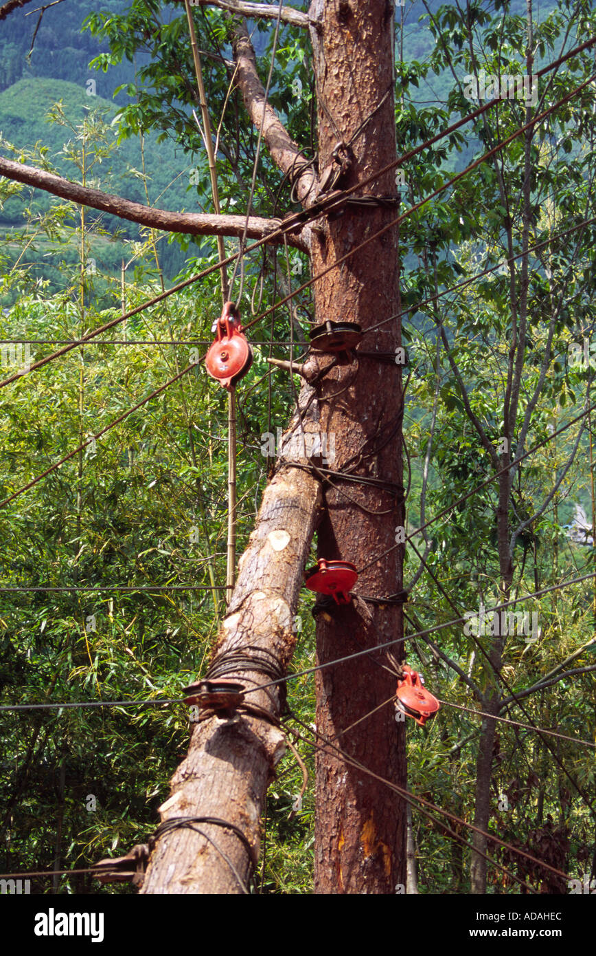 https://c8.alamy.com/comp/ADAHEC/logging-pulley-system-in-japan-ADAHEC.jpg