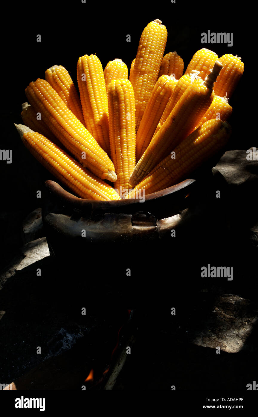 Nuwara Eliya corn cob Stock Photo