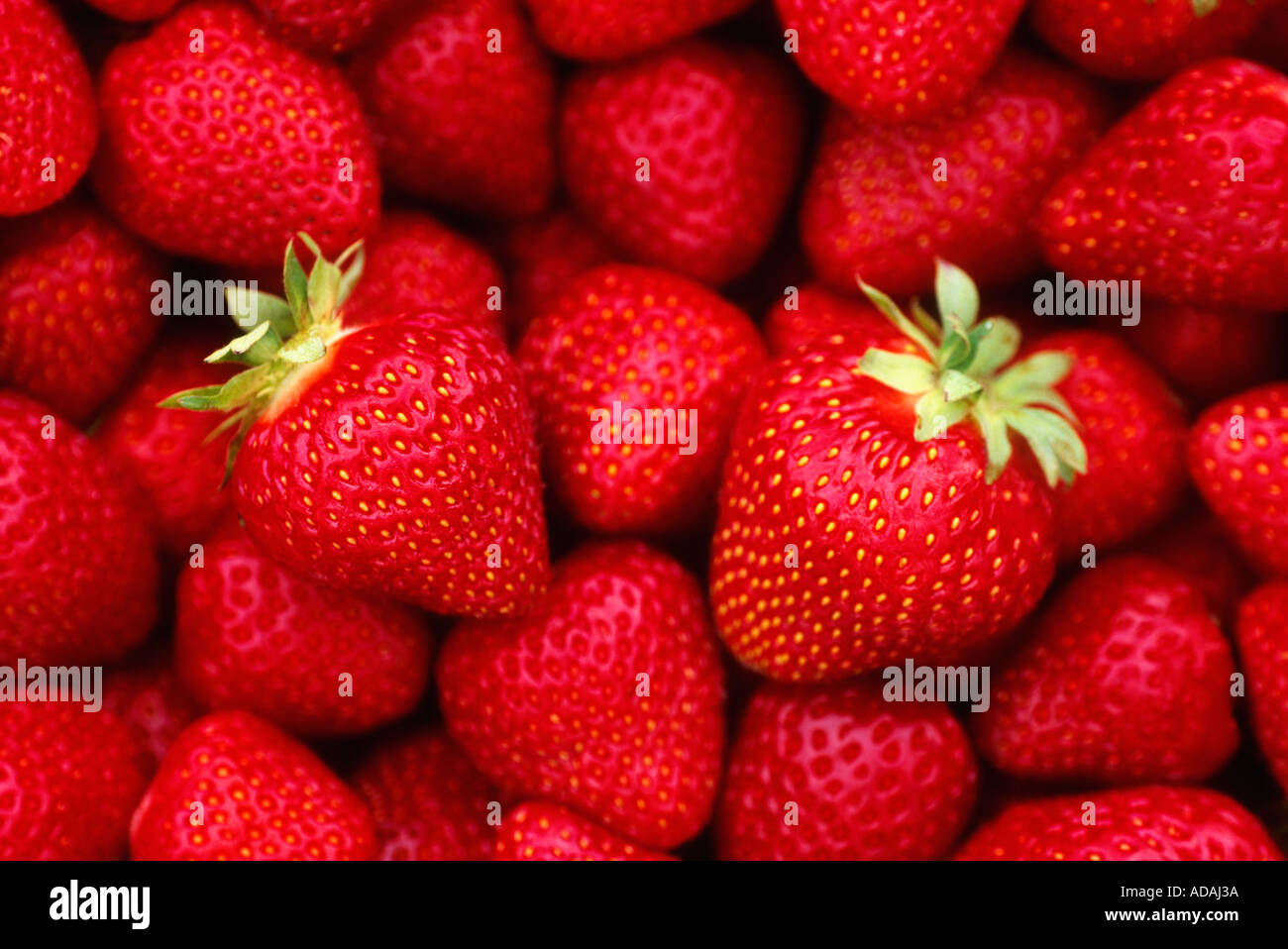 Strawberries Stock Photo