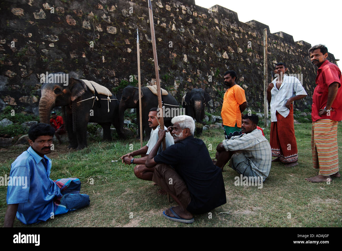 Galle Fort elephant mahouts waiting for the polo match to start Stock Photo