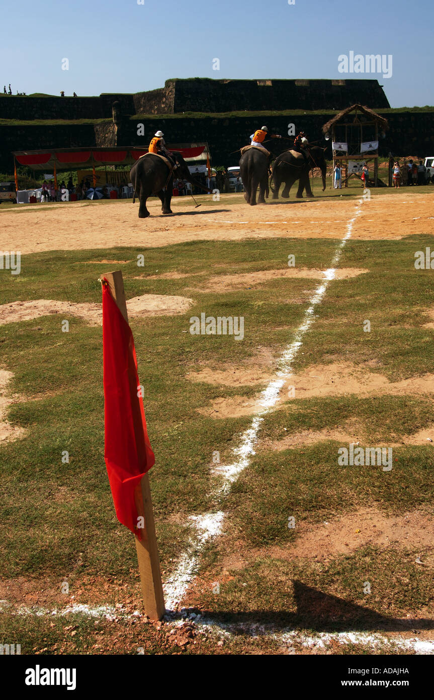 Galle fort elephant polo match Stock Photo