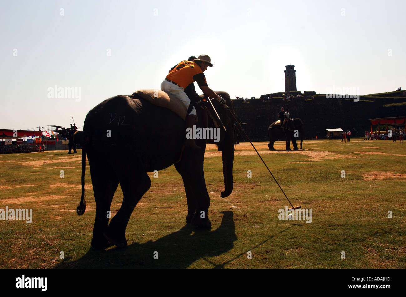 Galle fort elephant polo match Stock Photo