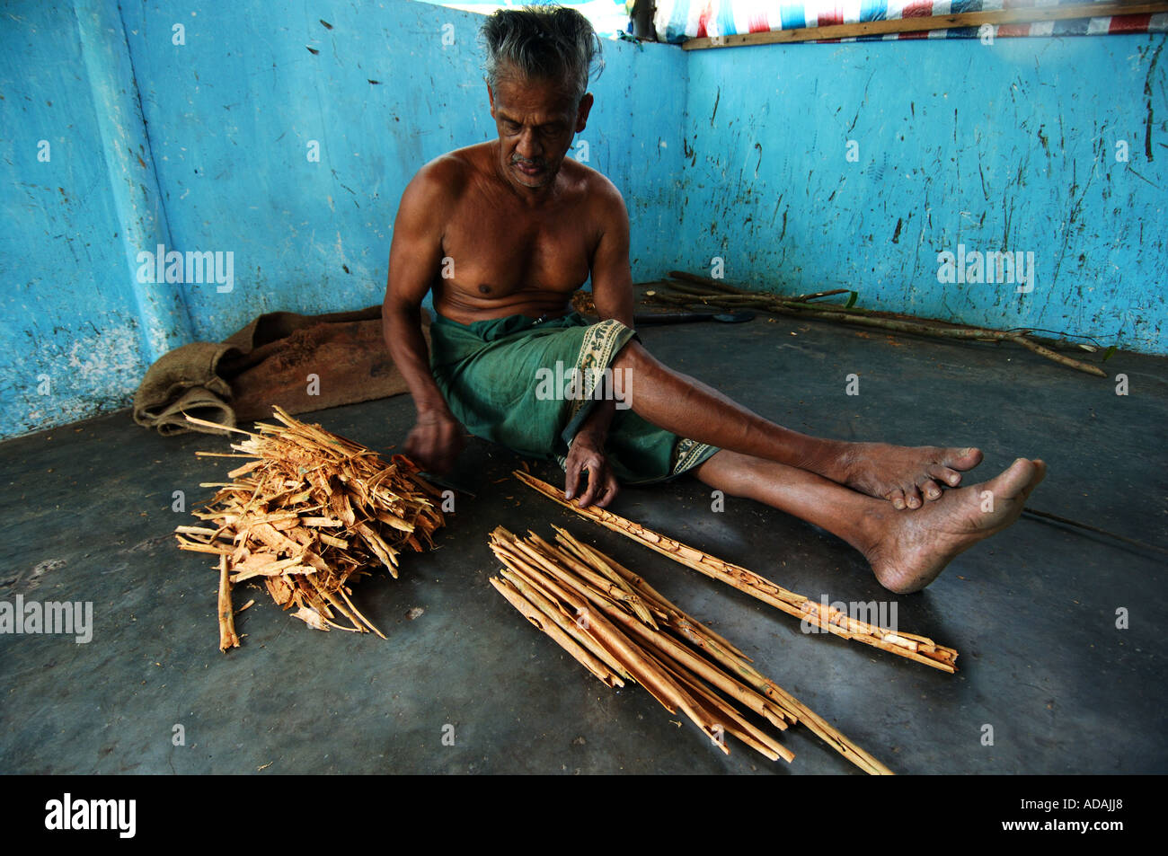The production of cinnamon Stock Photo