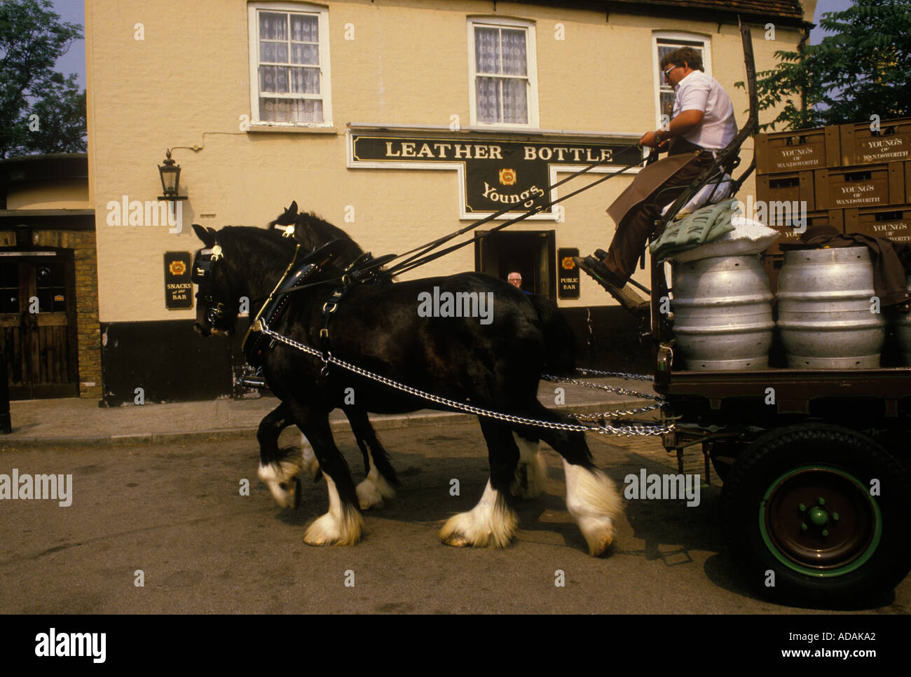 Youngs Brewery horse and cart Wandsworth traditional delivery of beer to local pub Leather Bottle. England 1980s circa 1985 UK HOMER SYKES Stock Photo