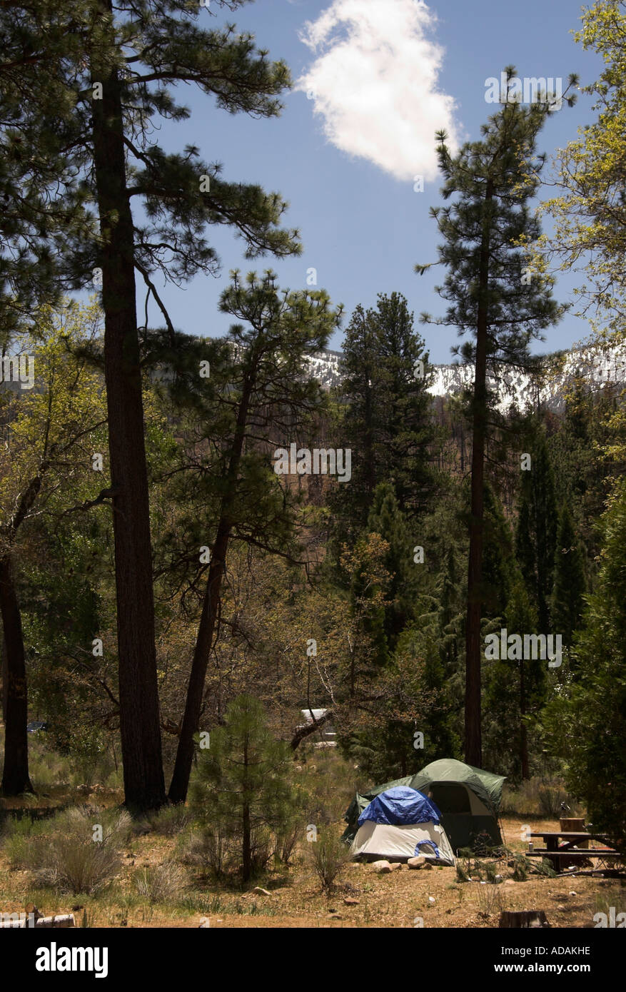 Camping in San Bernardino National Forest, California, USA Stock Photo Alamy