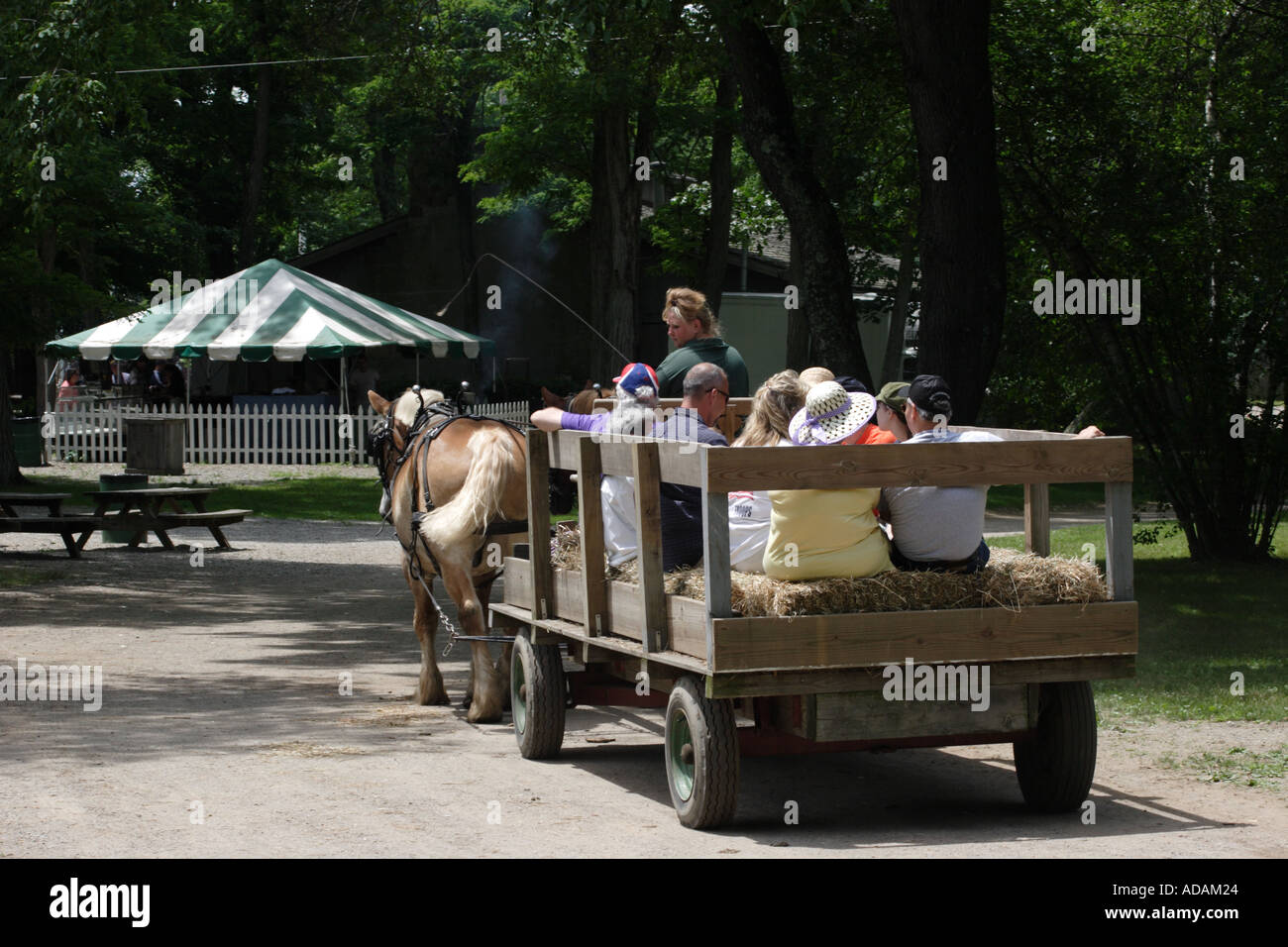 Horses pulling wagon hires stock photography and images Alamy
