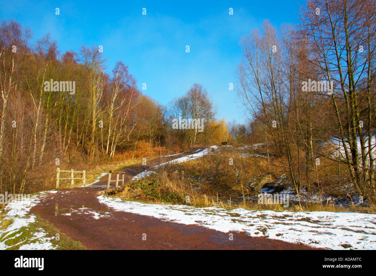 ENGLAND West Midlands Baggeridge Country Park A winter scene of a