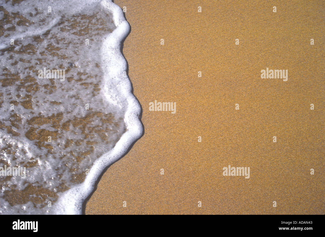 Wave and Foam Detail on Beach Hawaii Stock Photo