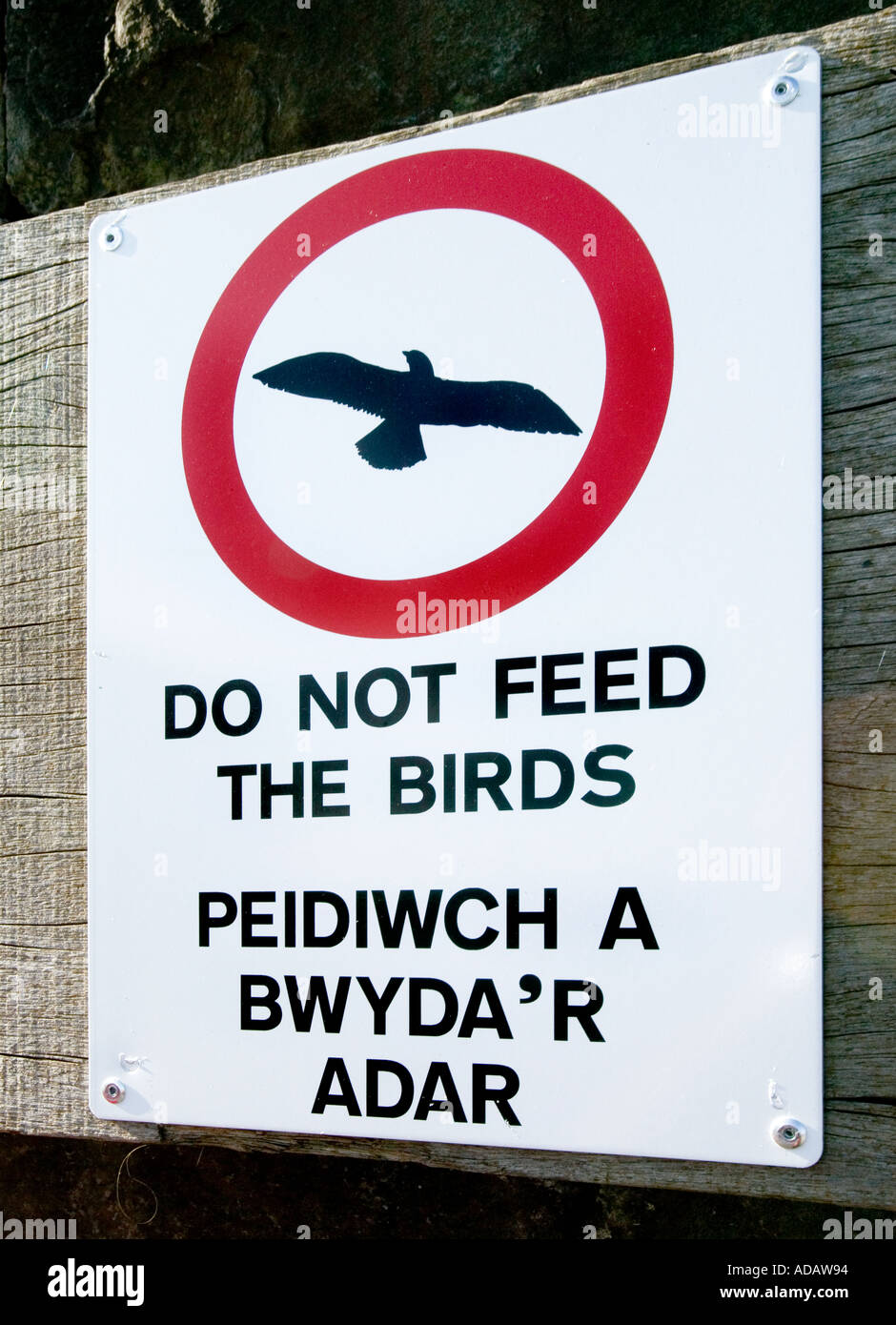 Warning sign do not feed the birds Cardiff Bay Cardiff Wales UK Stock Photo