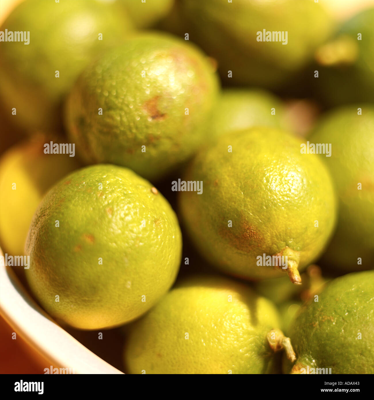 Key Limes from Mexico Stock Photo Alamy