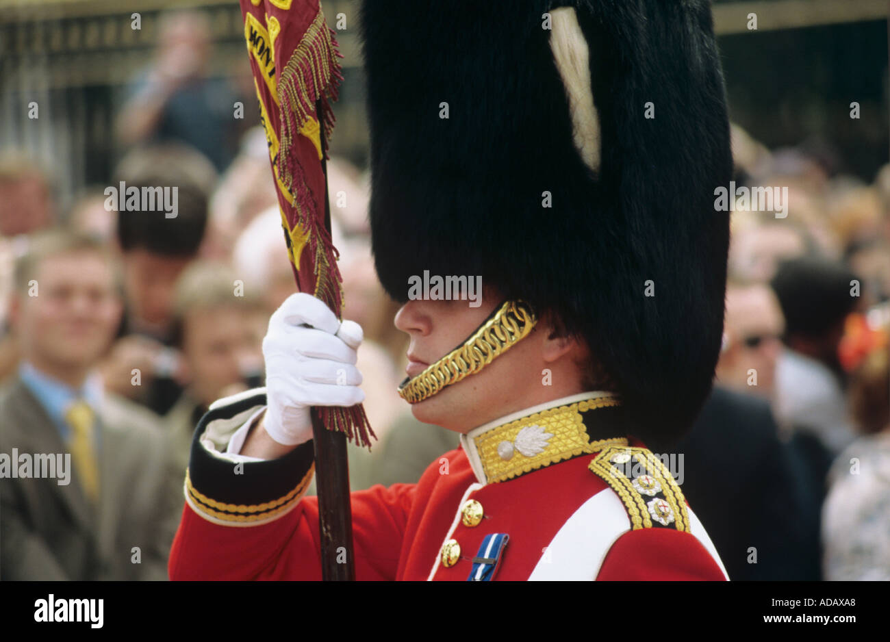 Grenadier Lieutenant carrying regimental colours London England United Kingdom Stock Photo