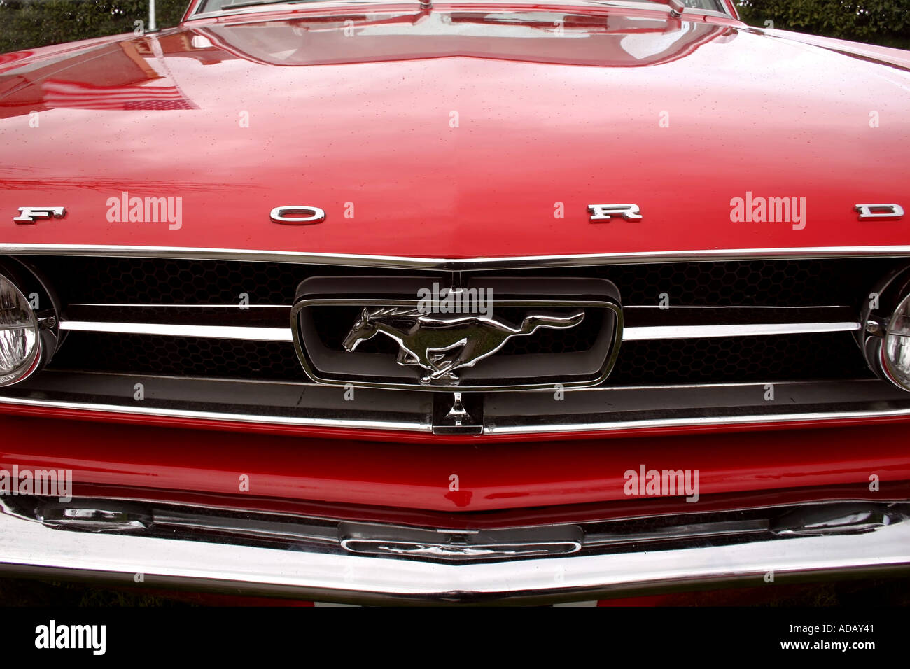 grill of Ford Mustang GT 350 Stock Photo - Alamy