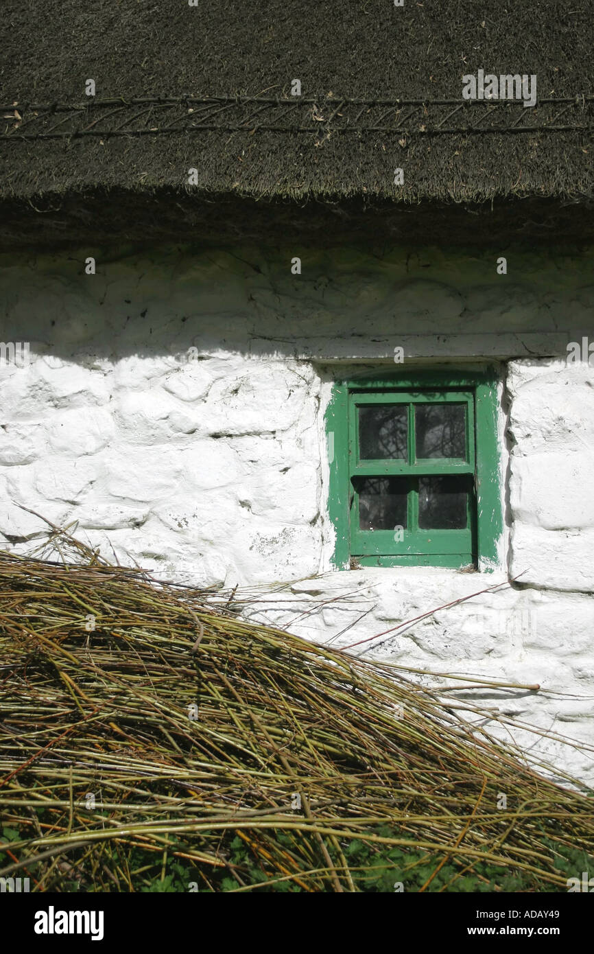 Stack Of Reeds For Basket Weaving Outside Cottage In Ireland Stock