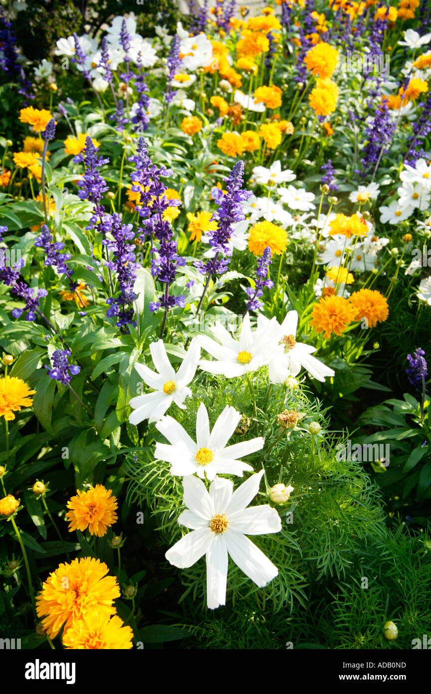 Exuberant planting hires stock photography and images Alamy
