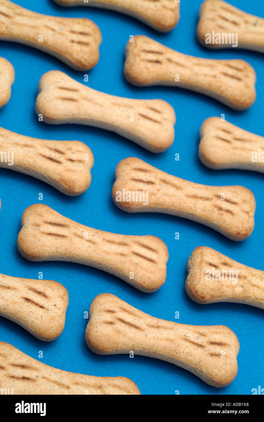 Bone Shaped Dog Biscuits Stock Photo Alamy