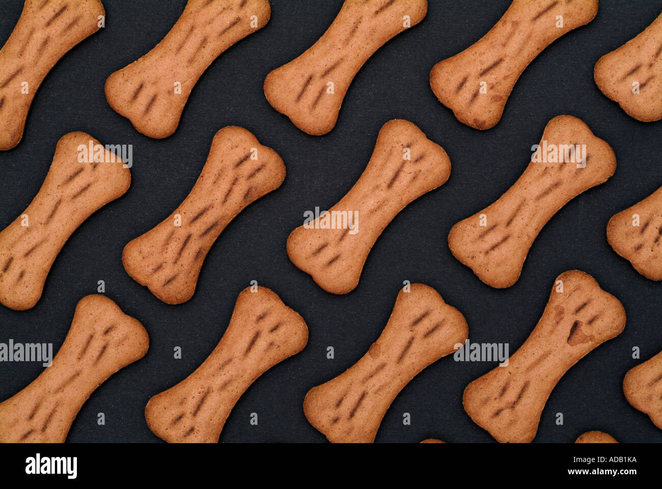 Bone Shaped Dog Biscuits Stock Photo Alamy
