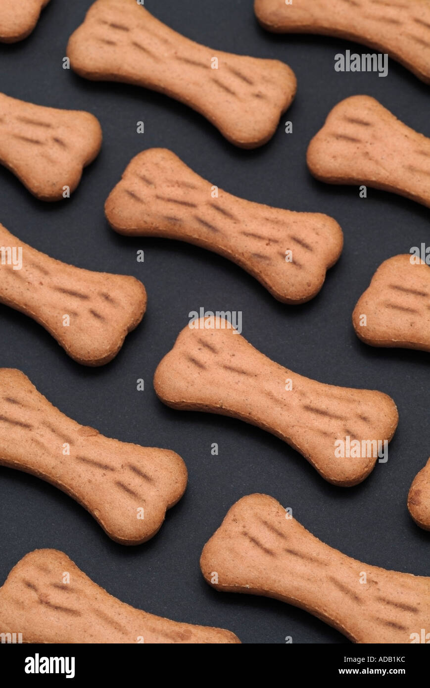 Bone Shaped Dog Biscuits Stock Photo Alamy