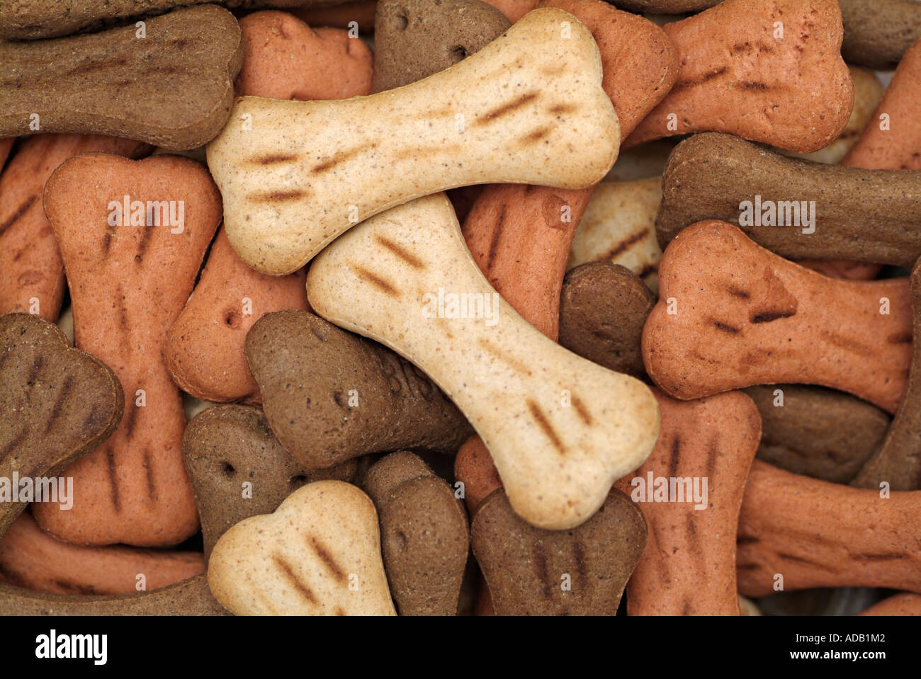 Dog Biscuits Stock Photo