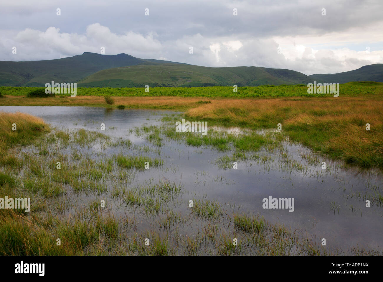 Pen y Fan Corn Du Brecon Beacons Wales UK Stock Photo