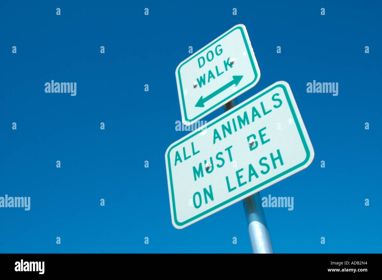 Dog Walk sign where pets dogs must be on leash by law Stock Photo Alamy