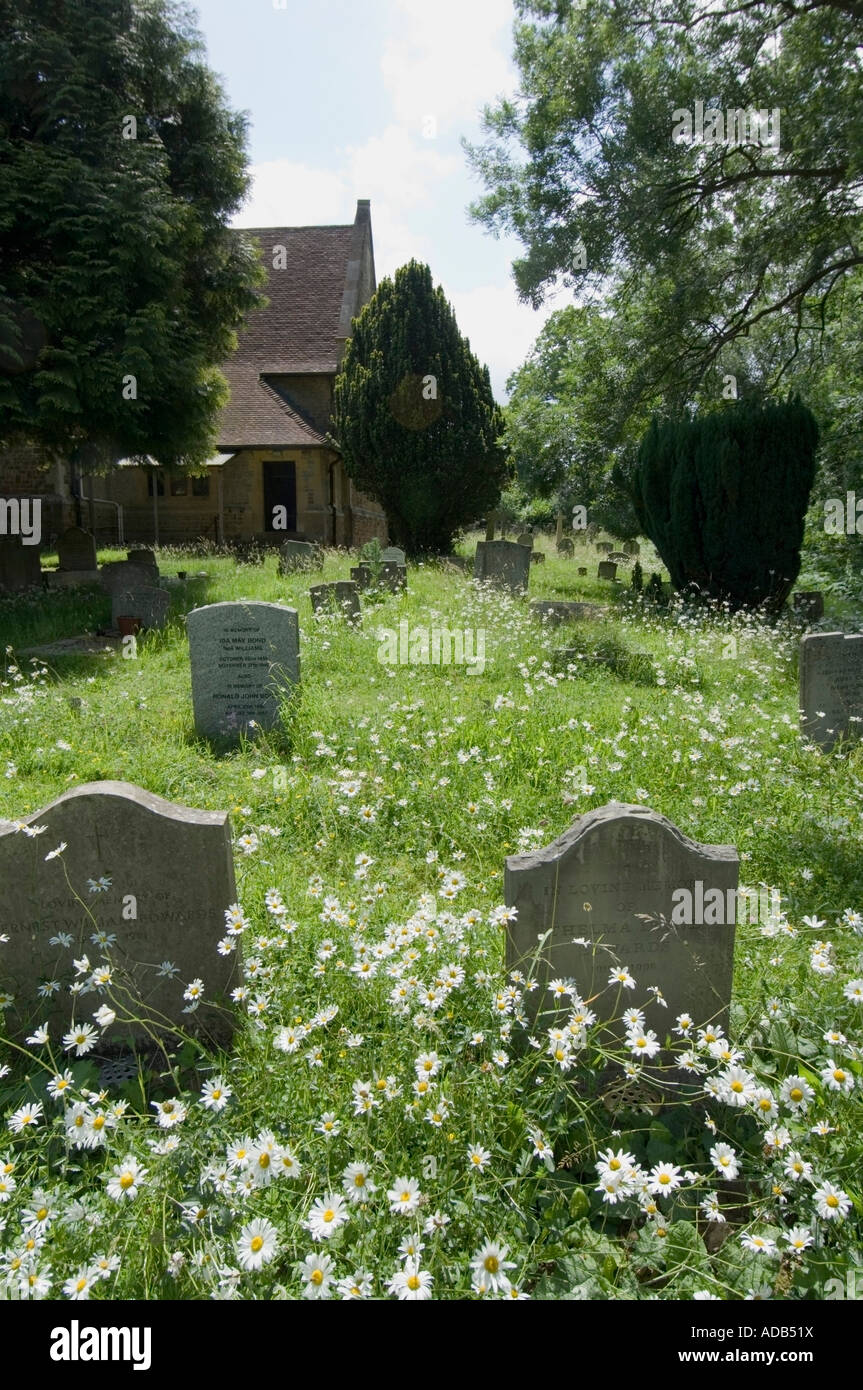 Cemetery Grayswood near Haslemere Surrey UK Stock Photo Alamy