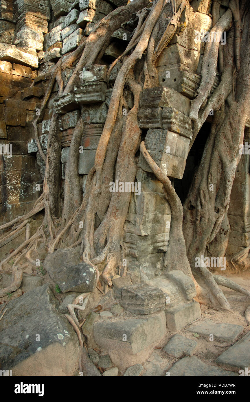 Ta Som temple of the khmer Angkor complex in Cambodia Stock Photo - Alamy