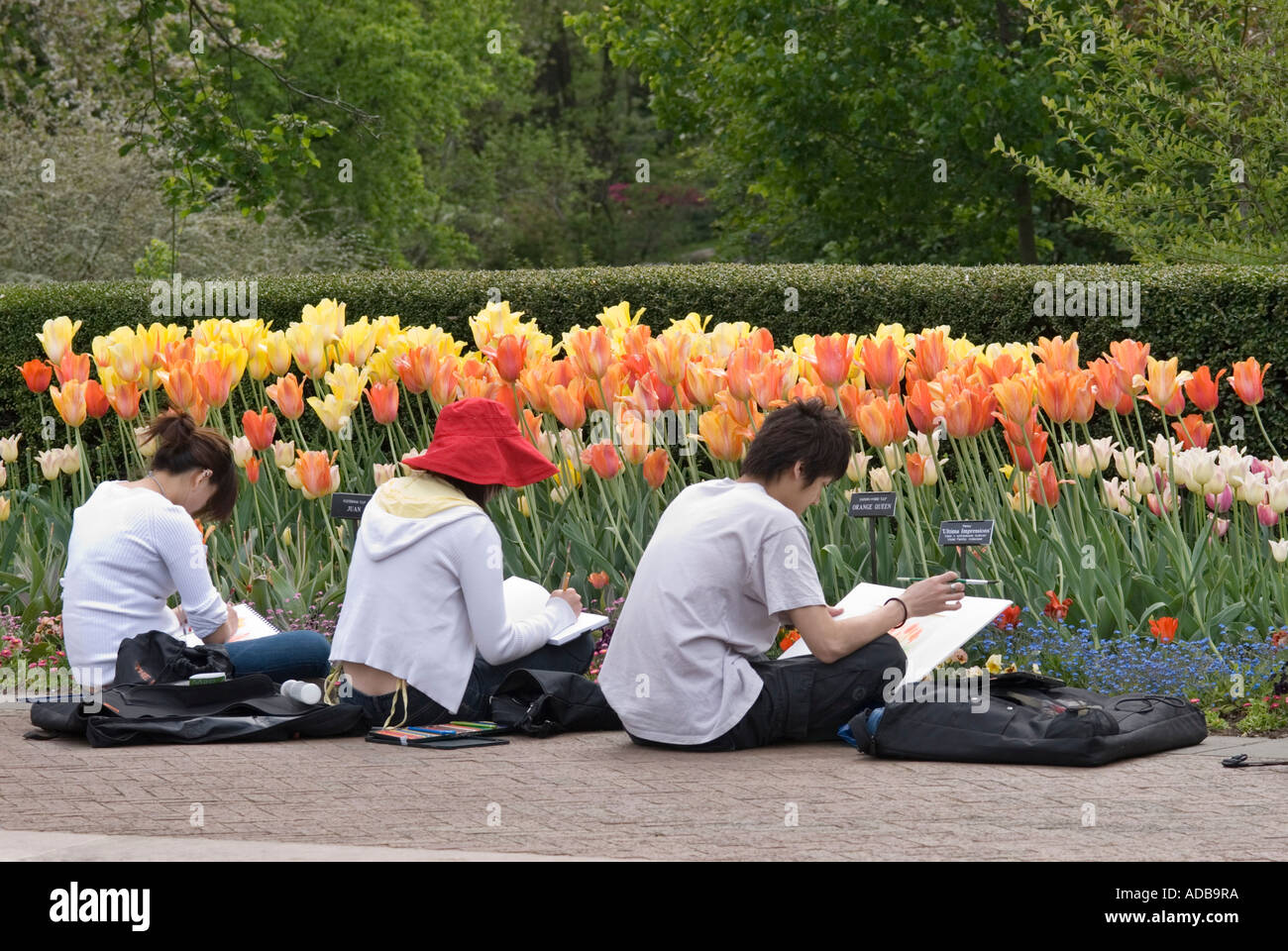 High school students art class hi-res stock photography and images - Alamy