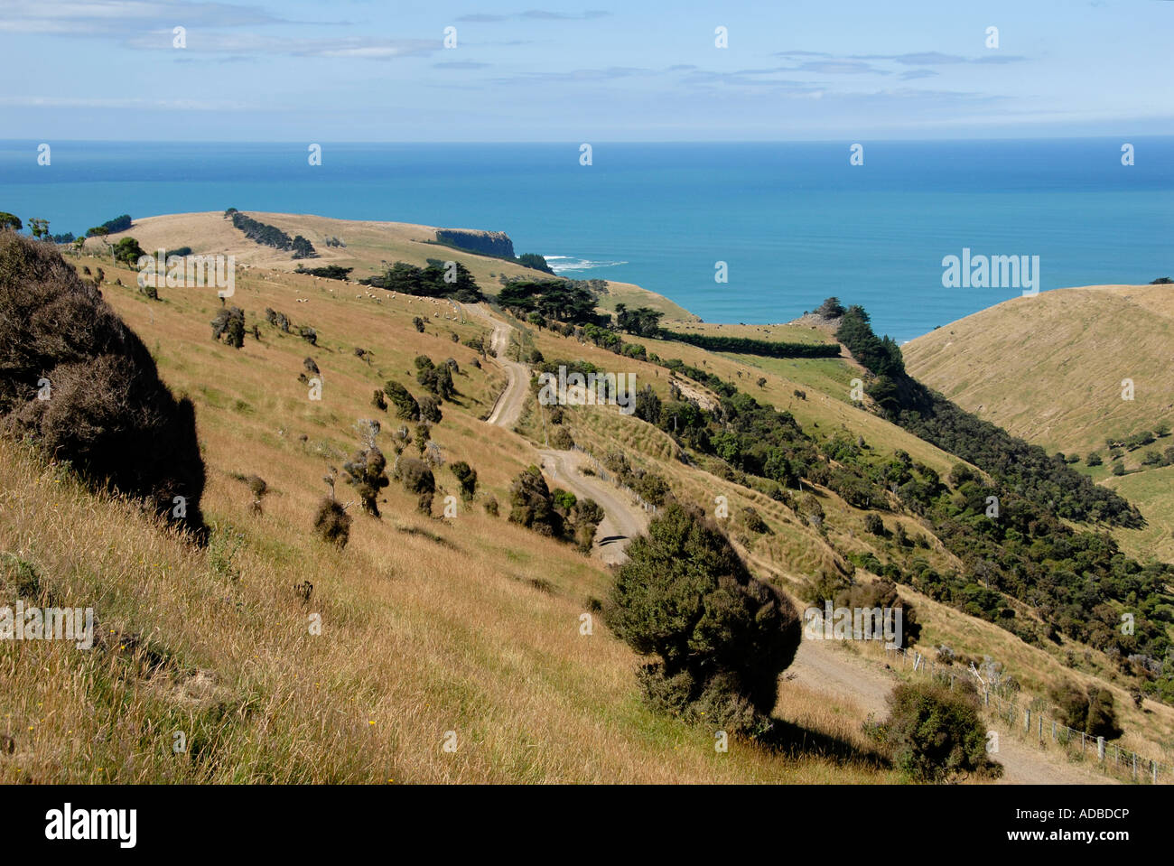 Chorlton Banks Peninsular South Island New Zealand Stock Photo