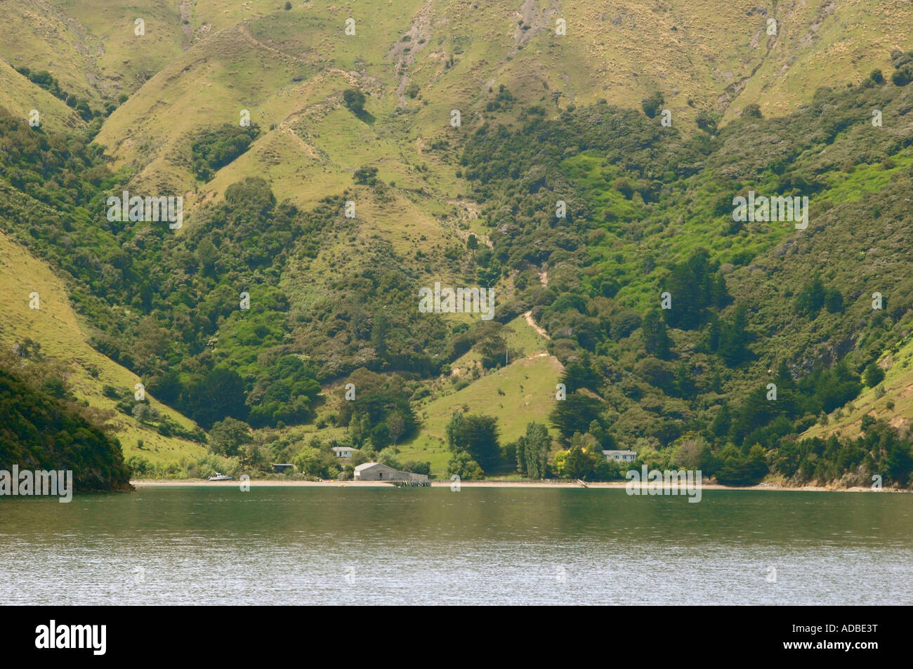 Isolated farm Pelorus Sound South Island New Zealand Stock Photo