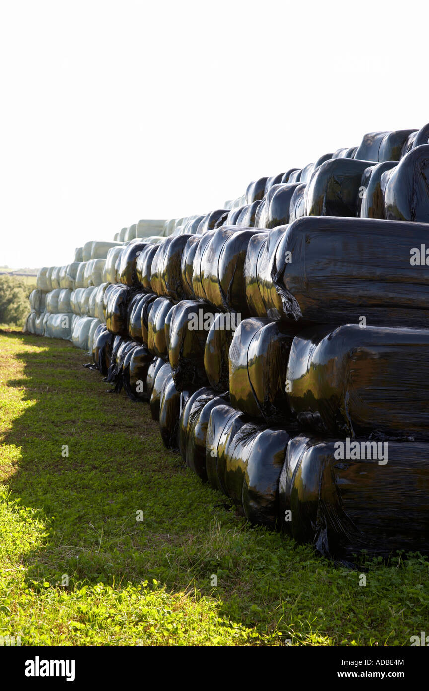 silage hay bales wrapped in plastic stacked on farmland in county wexford republic of ireland Stock Photo