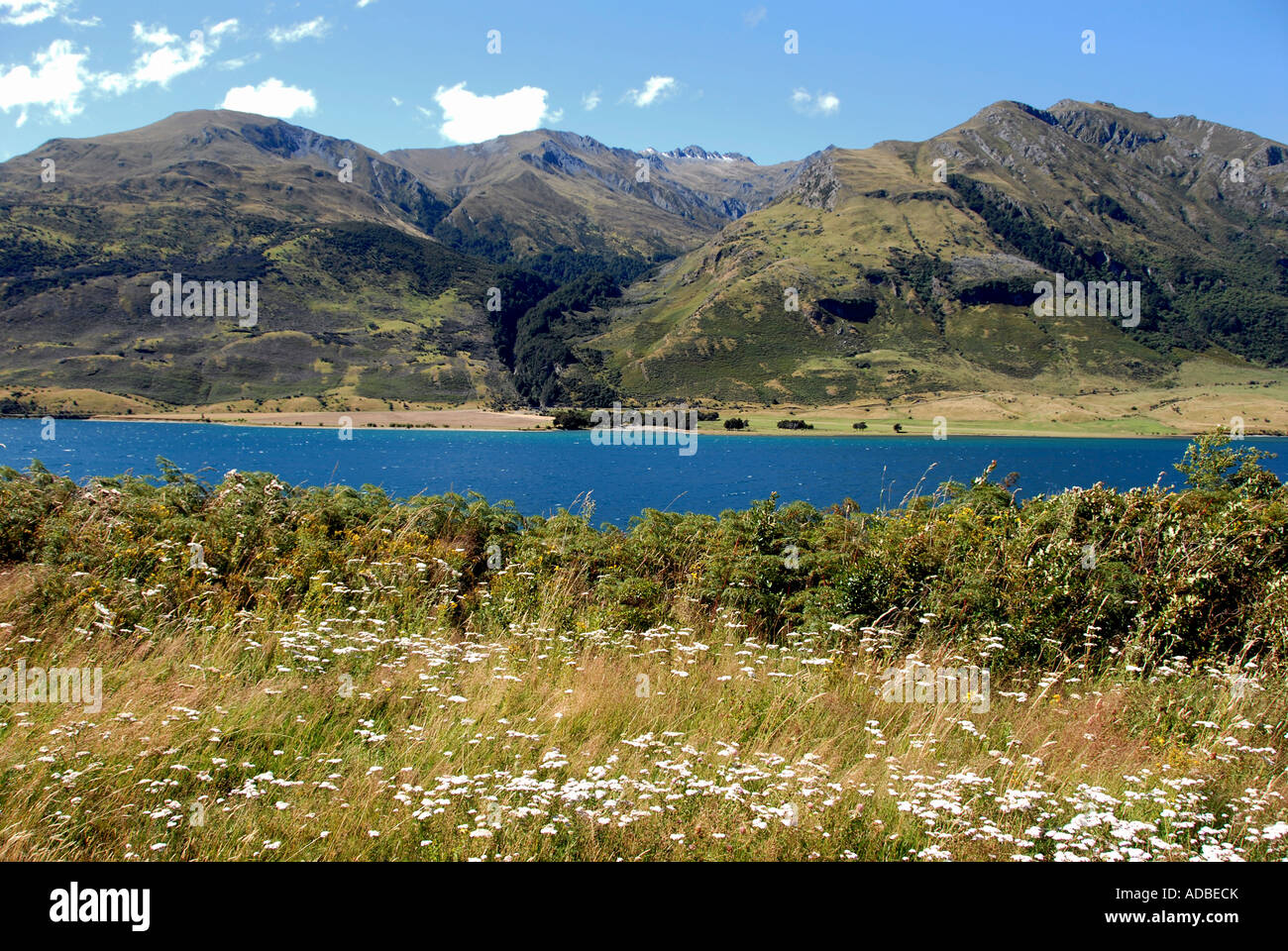 Lake Hawea South Island New Zealand Stock Photo - Alamy