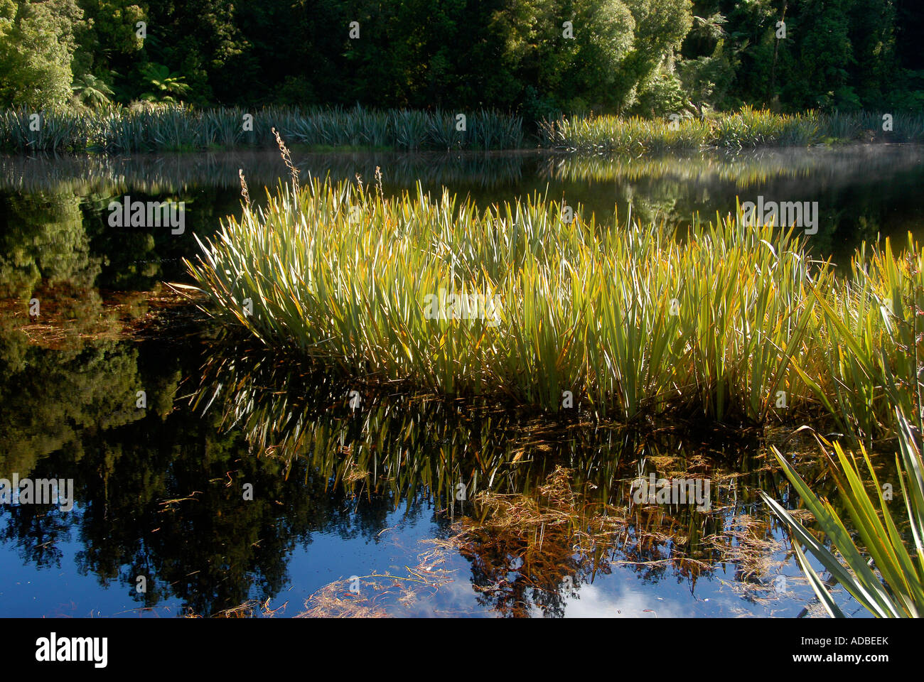 Lake Matheson South Island New Zealand Stock Photo - Alamy