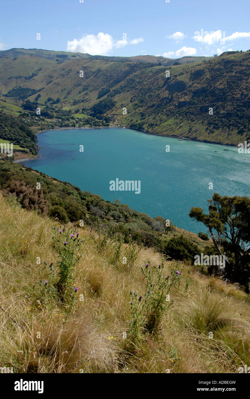 Little Akaroa Banks Peninsular South Island New Zealand Stock Photo Alamy