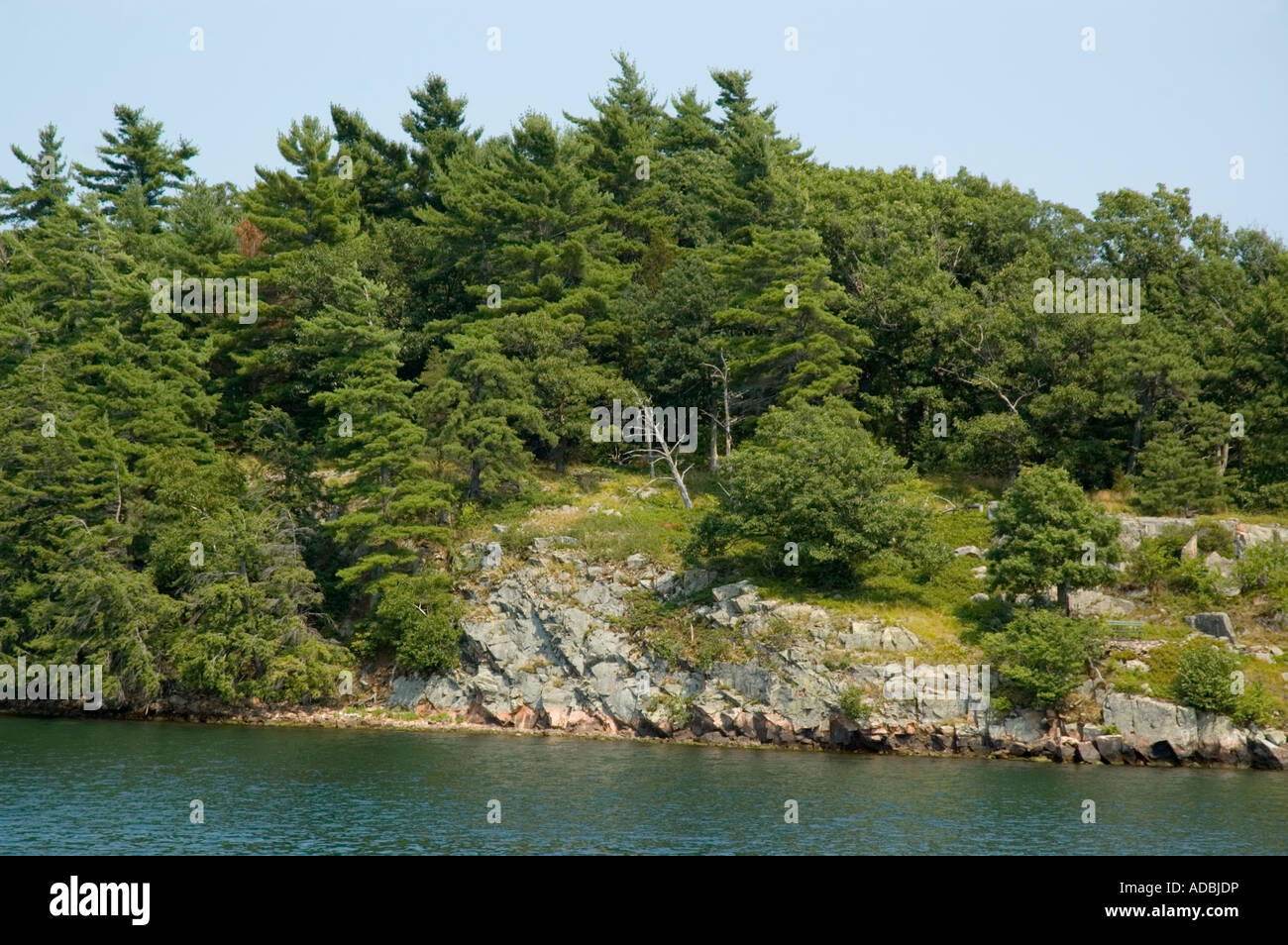 Exposed rock of Canadian Shield Stock Photo