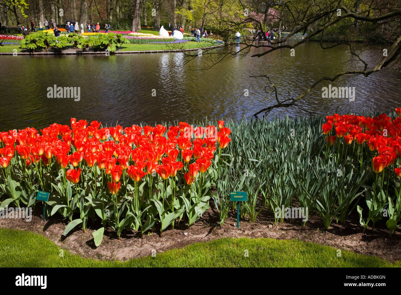 Visitors near lake at Keukenhof Gardens in Lisse, Holland;Netherlands Stock Photo