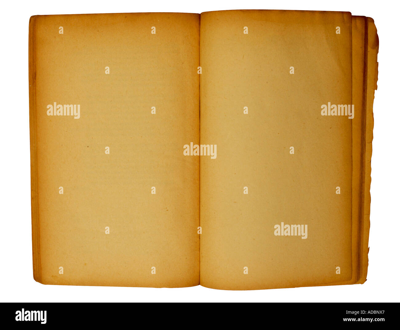 Empty book spine hires stock photography and images Alamy