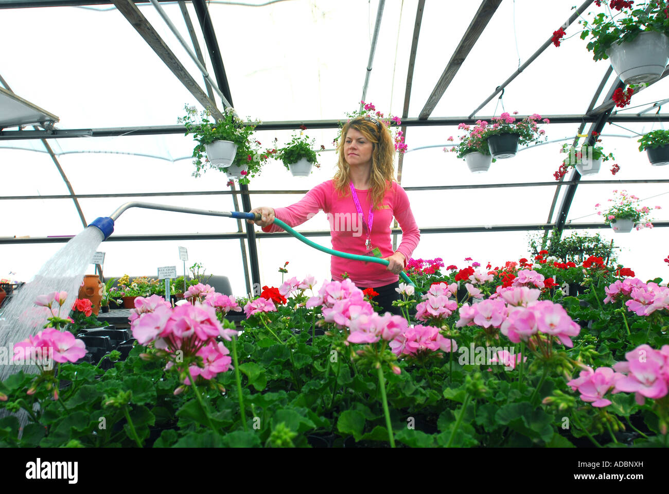 Garden Store Owner Small Businesswoman Waters Flowers In A