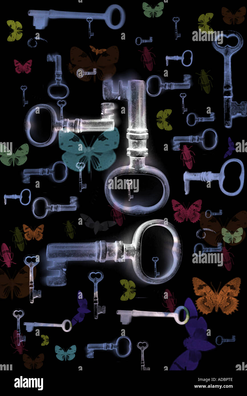 Keys and butterflies create an artistic pattern. Mystery science and Discovery concepts Stock Photo