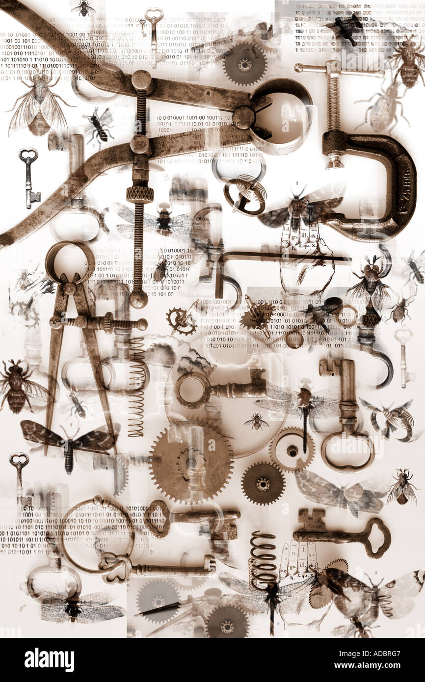 Small objects, bugs, keys and tools create a pattern on a white background. Science discovery and mystery concept Stock Photo