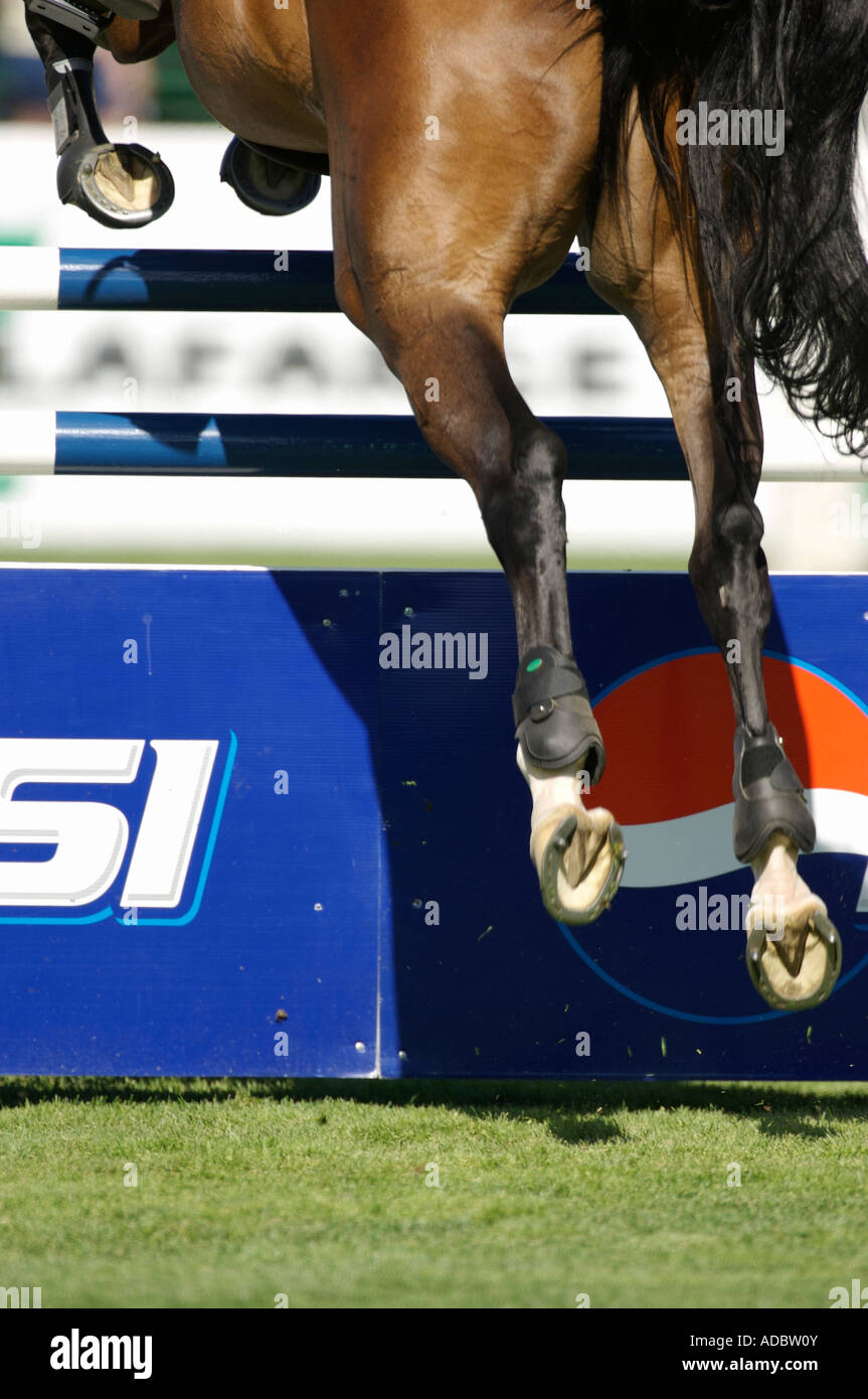 Showjumping horse takes off over a fence Stock Photo Alamy