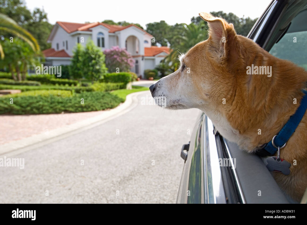Back of the seat hi-res stock photography and images - Alamy