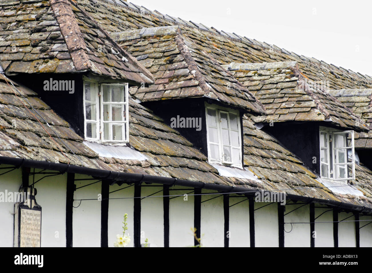 Row of black and white timber framed cottages at Pembridge Herefordshire England UK with dormer windows and stone tile roof Stock Photo