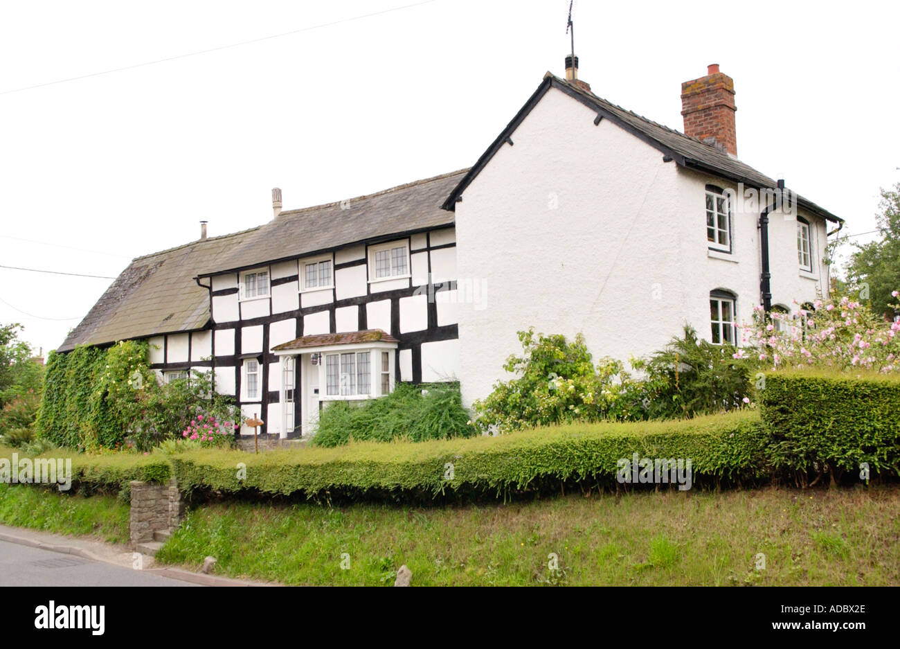 Timber frame house at Pembridge Herefordshire England UK Stock Photo