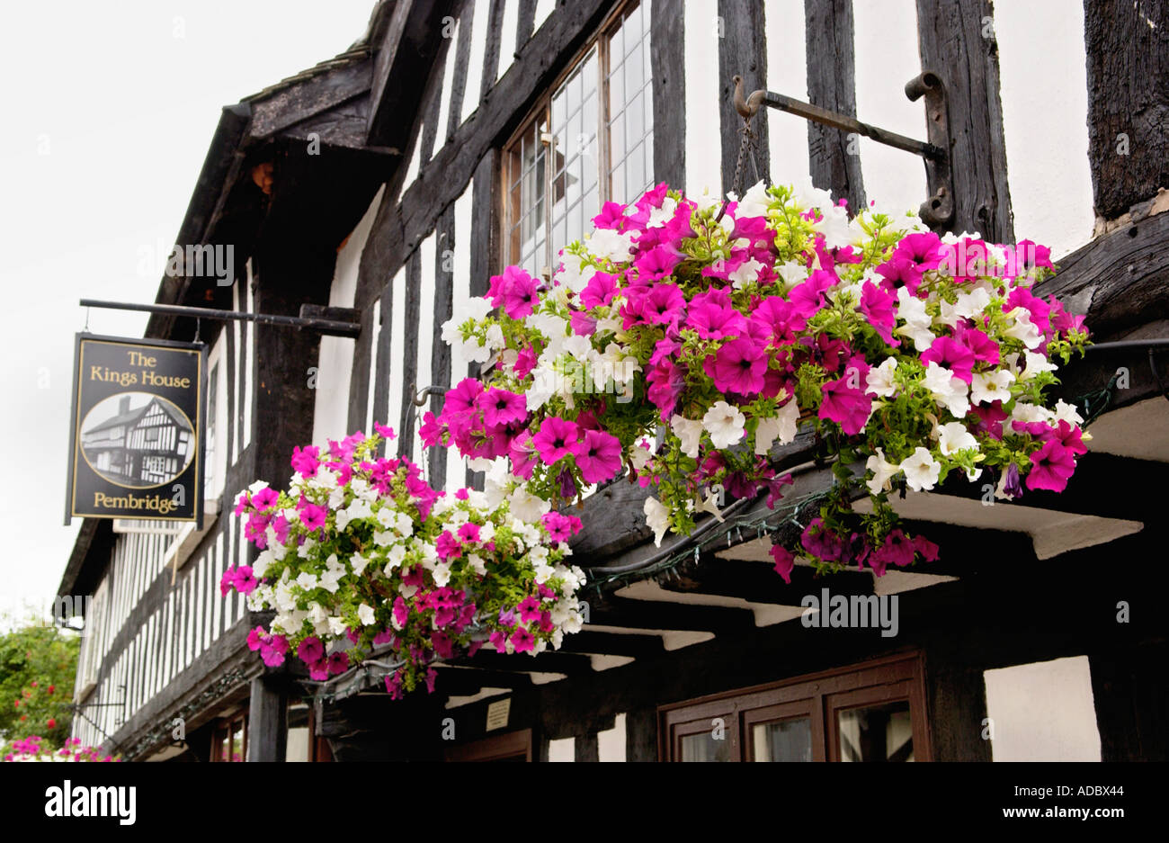 Kings House pub timber framed medieval 15th century building at Pembridge Herefordshire England UK Stock Photo