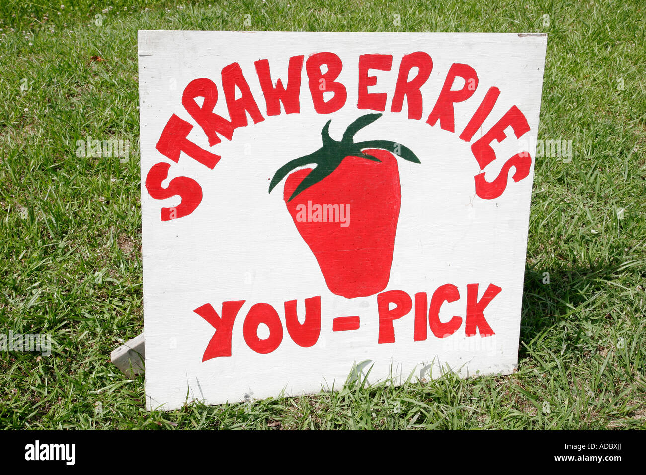 Virginia Beach,Pungo,sign,strawberries you pick,VA070612207 Stock Photo Alamy