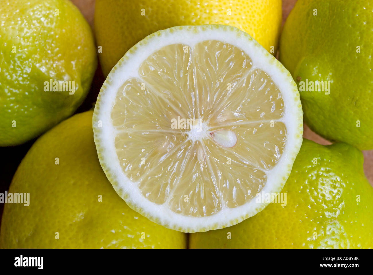 Lemon Cut In Half Hi res Stock Photography And Images Alamy lemon-cut-in-half-hi-res-stock-photography-and-images-alamy