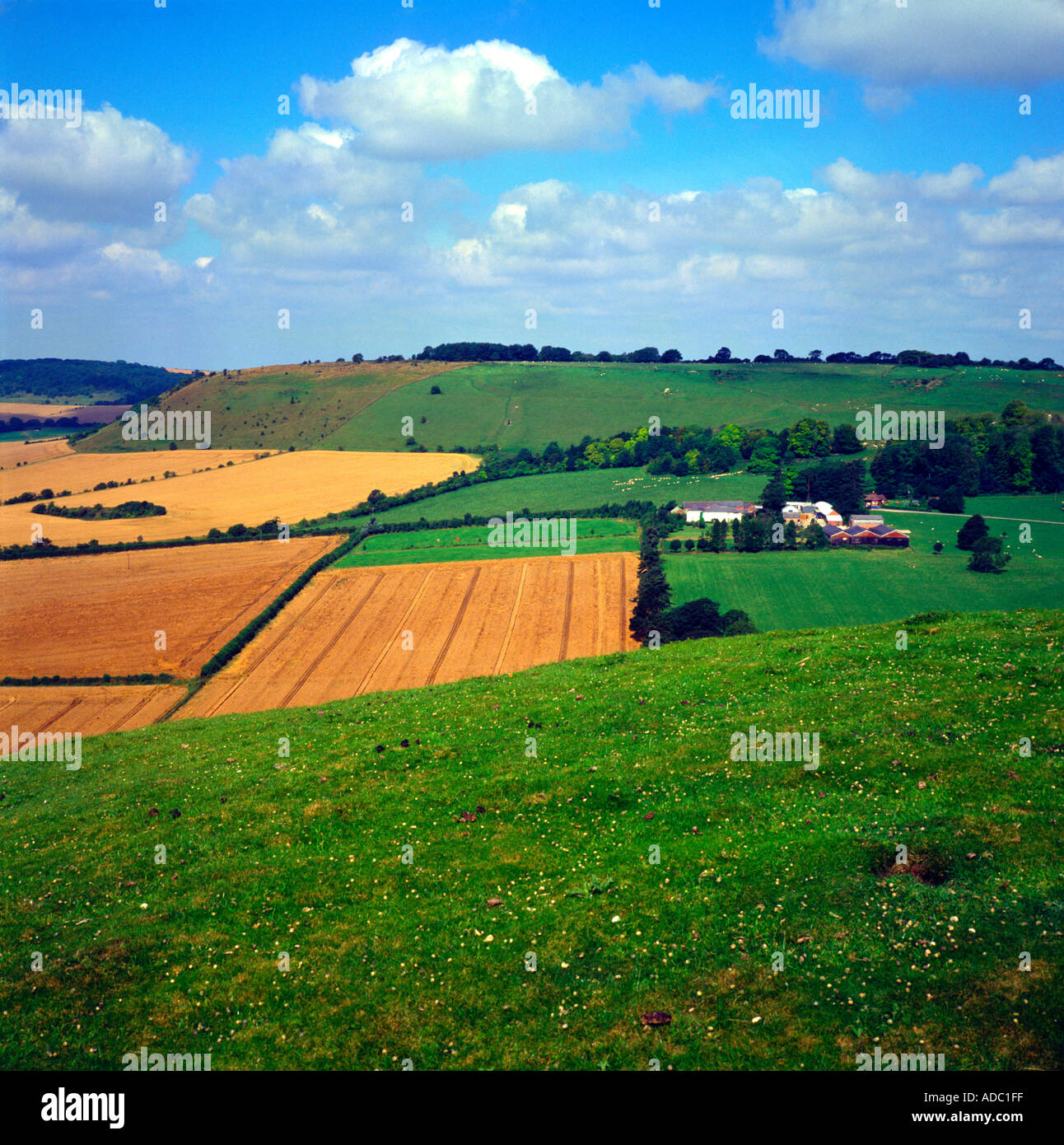 Scarp slope and Pewsey vale Wiltshire Downs near Bishops Cannings Devizes England Stock Photo